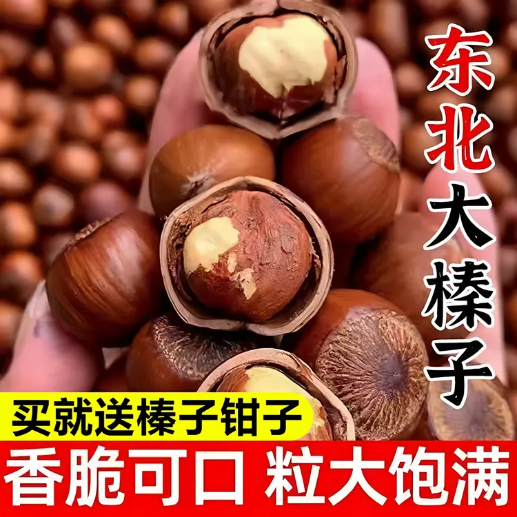 2025东北大果榛子新货炒熟不开口自然成熟高端营养坚果