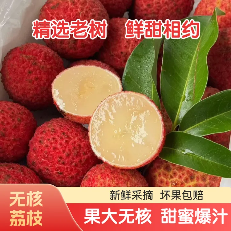 无核荔枝福建漳州顺丰无核荔枝超大果新鲜现摘无籽荔枝当季水果