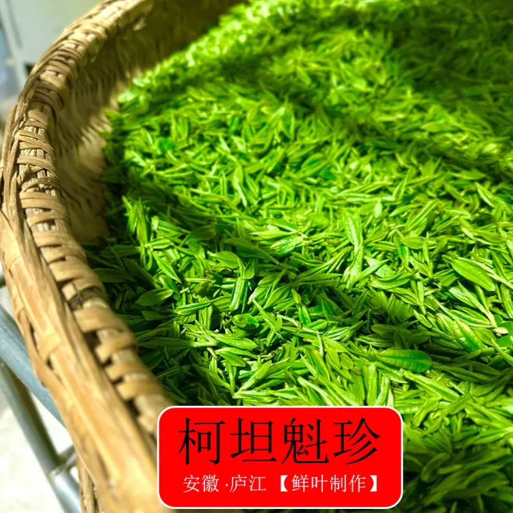 柯坦魁珍2025年【新采2号】庐江明前头采茶【价格打到底】