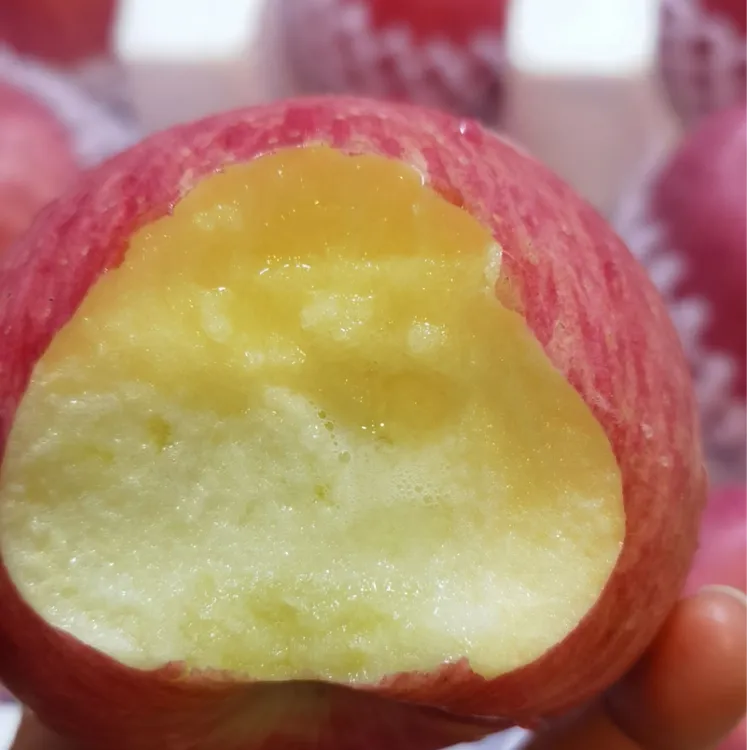 甘肃庆阳红富士苹果冰糖心鲜摘现发果园直供脆甜多汁包邮新店爆款