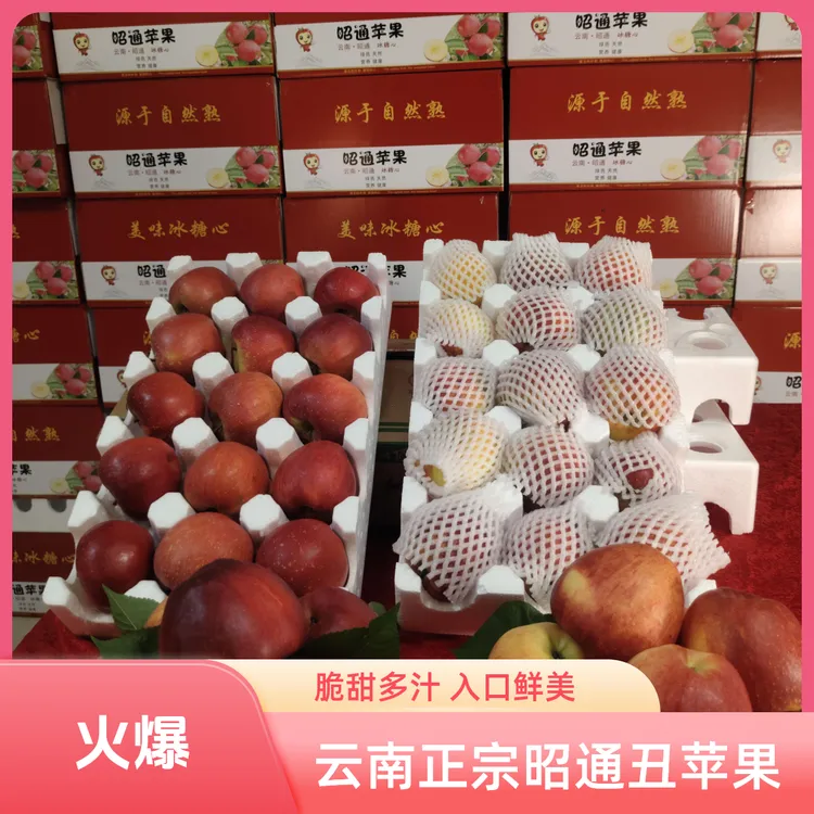 正宗昭通丑苹果(红富士)头茬新鲜现摘脆甜多汁水果糖心