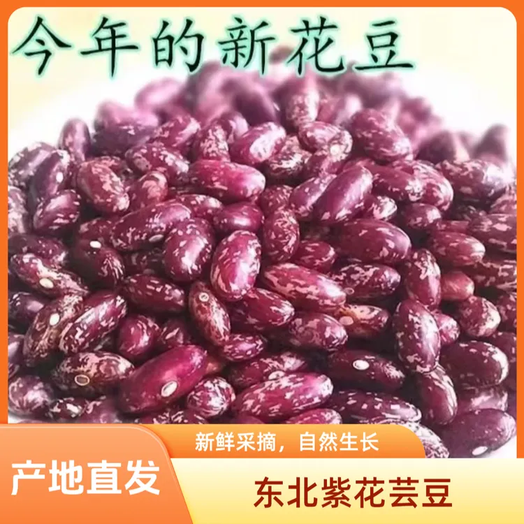 【东北2025年10月份新豆】新紫花芸豆饭豆腰豆五谷杂粮产地直发