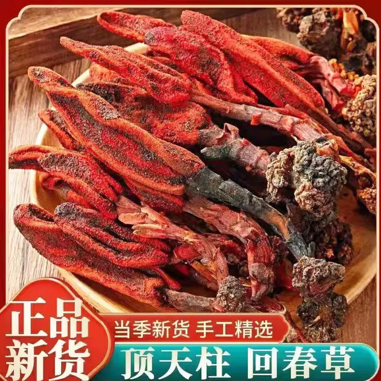 【真货无硫】云南野生回春草顶天柱泡水煲汤泡酒搭配枸杞正宗正品