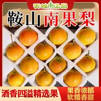 鞍山南果梨精选箱装果香浓郁香甜多汁品质新鲜采摘箱装天地辽品