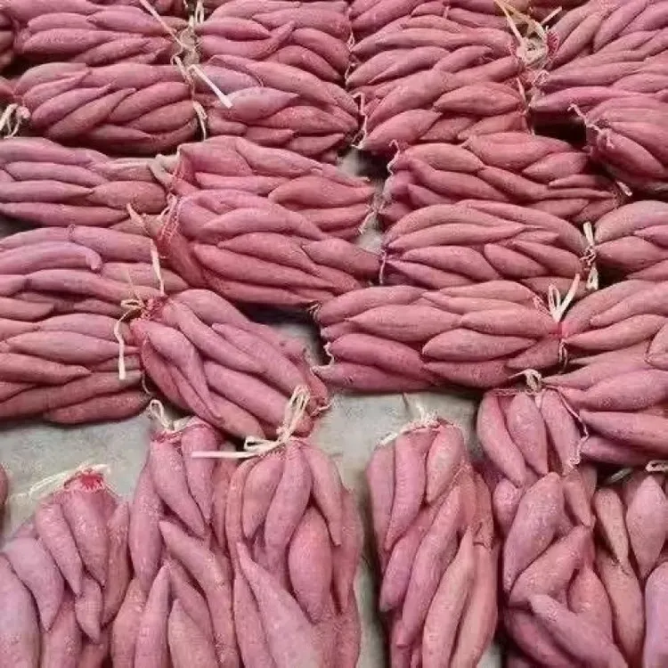 【清货价】西瓜红蜜薯超甜正宗红心蜜薯板栗薯番薯新鲜地瓜蔬菜烟薯