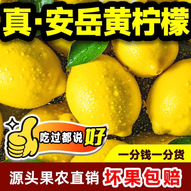 四川安岳黄柠檬整箱产地批发当季水果薄皮多汁大果新鲜生香水柠檬