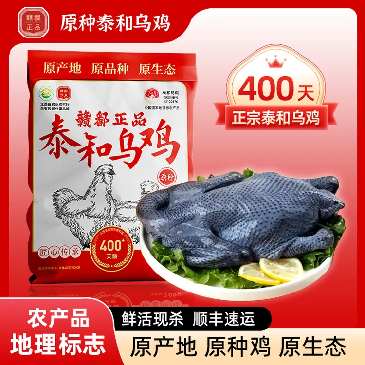 【皮厨大叔】《食安放心》正宗泰和乌鸡农家散养400天土鸡l老母鸡白羽鸡顺丰包邮