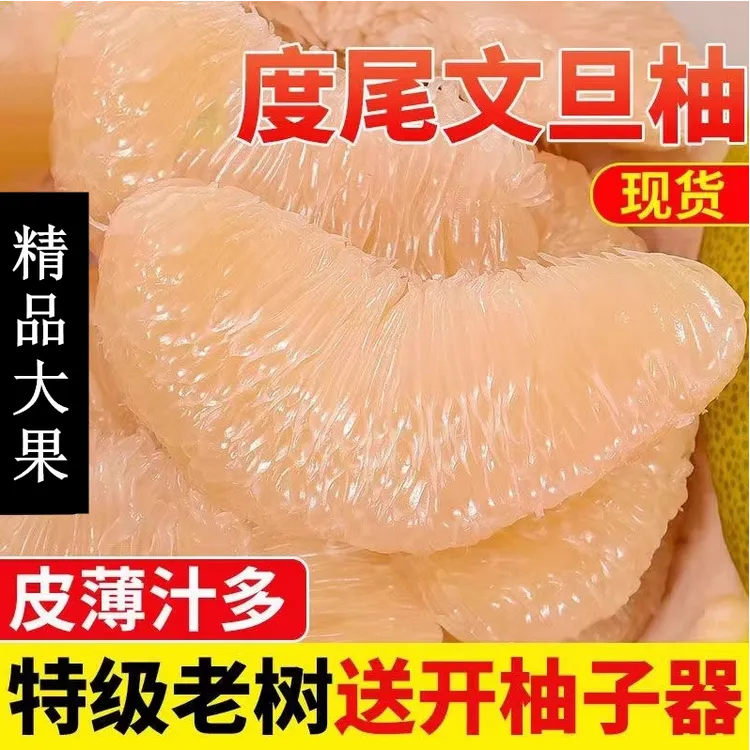 福建度尾文旦柚老树果当季现摘白心红心正宗度尾老树文旦柚