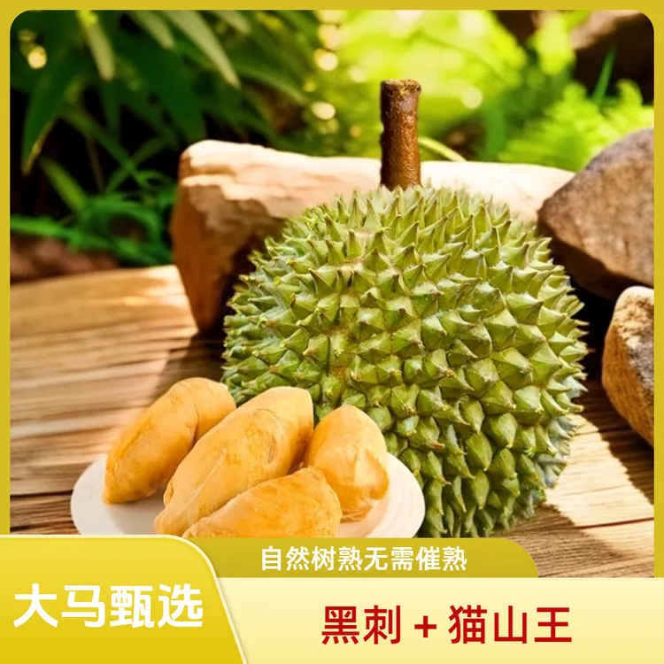 猫山王黑刺榴莲组合马来西亚榴莲D197D200一次享用榴莲界塔尖口感