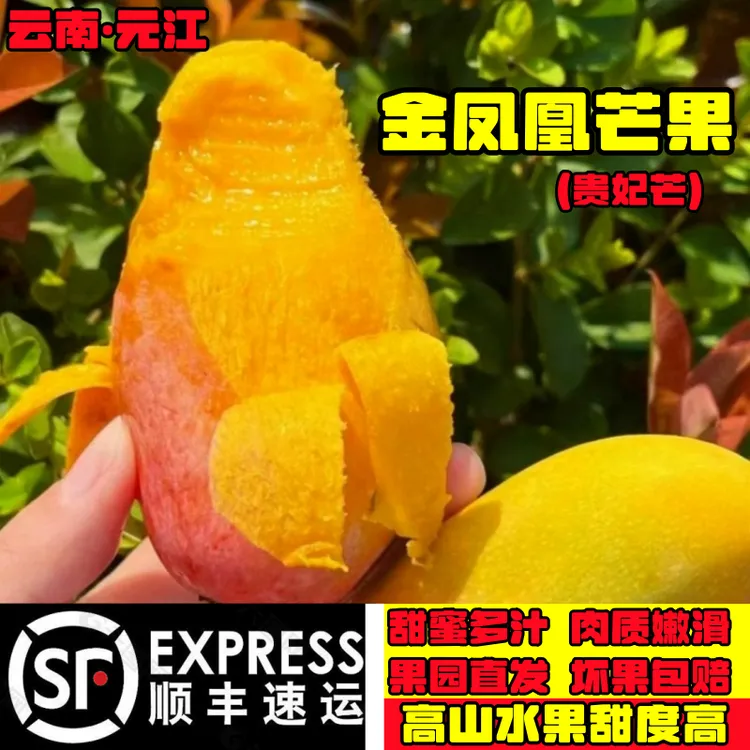 【顺丰快递】云南元江树上熟金凤凰芒果新鲜水果贵妃芒香甜多汁包邮