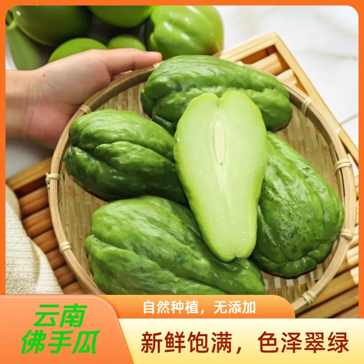 云南高山现摘新鲜佛手瓜当季蔬菜自种瓜清甜多汁佛手瓜云南新鲜菜