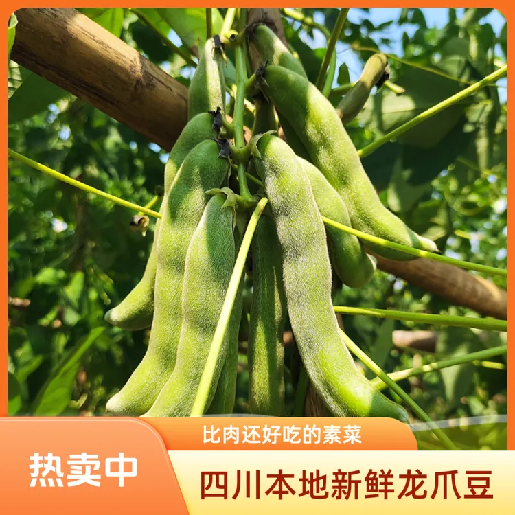 【蜀-四川龙爪豆】带皮狗儿豆炒辣椒花生米好吃1/2/3/5/8斤现摘