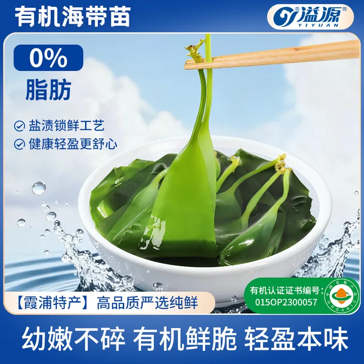 【有机火锅食材】溢源盐渍海带苗新鲜幼嫩清汤凉拌涮火锅霞浦海带芽