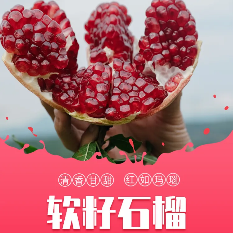 四川会理软籽石榴！新鲜采摘当季水果爆甜爆汁不吐籽