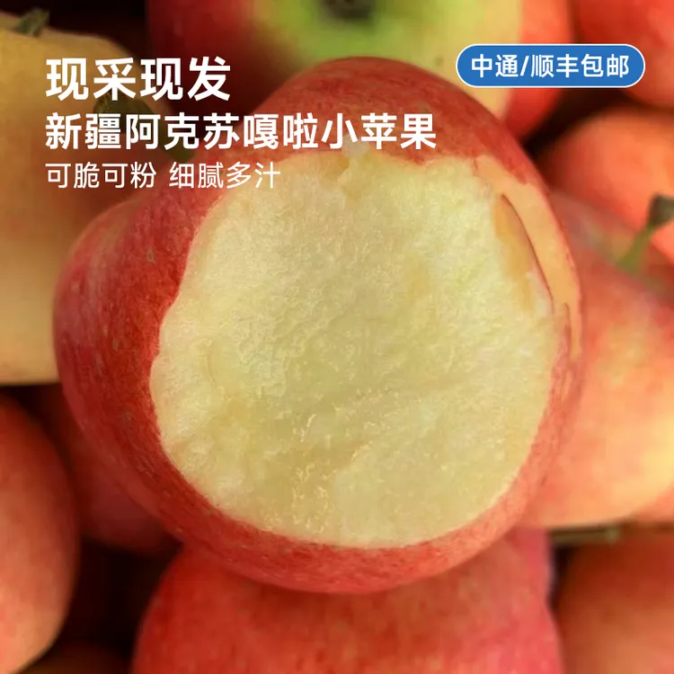 【顺丰/中通任选】新疆阿克苏嘎啦苹果 可脆可粉 细腻多汁果香浓郁