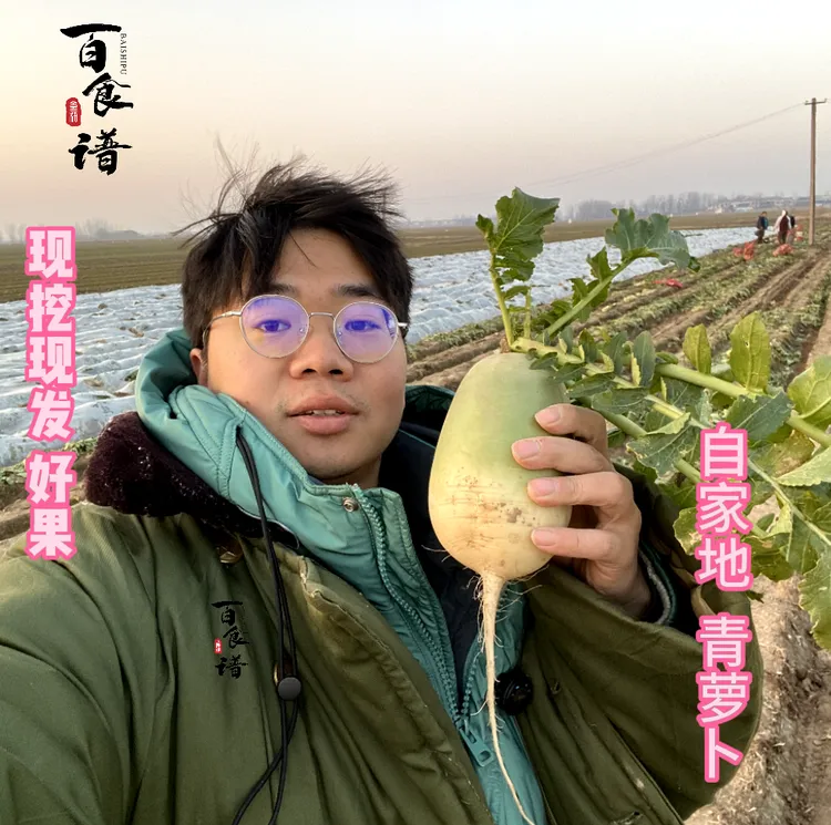 【百食谱】新鲜现挖青萝卜开封沙地农家种植老品种可生吃愣头青萝卜