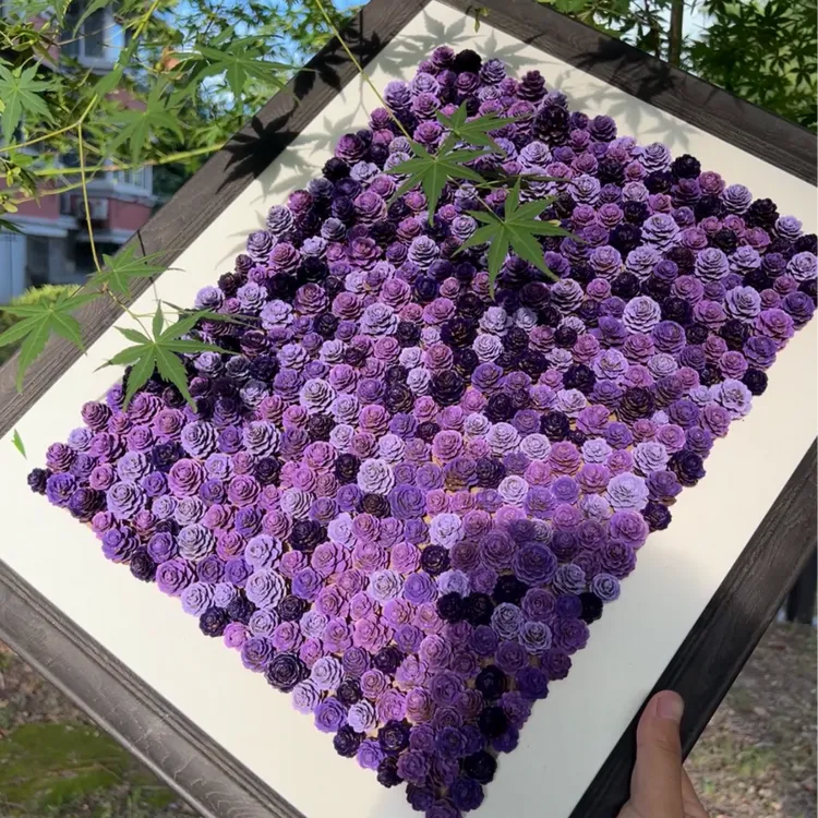 博主同款 松果收纳diy相框种子标本玫瑰花装饰画框+松果