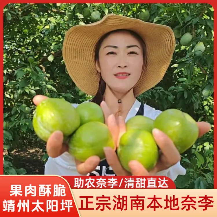 正宗湖南本地李子新鲜奈李水果产地直发当季水果脱骨青奈李赖李