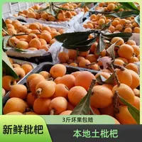 新鲜现摘五星枇杷水果3斤中果冷链整箱批发云南当季现摘甜枇杷鲜