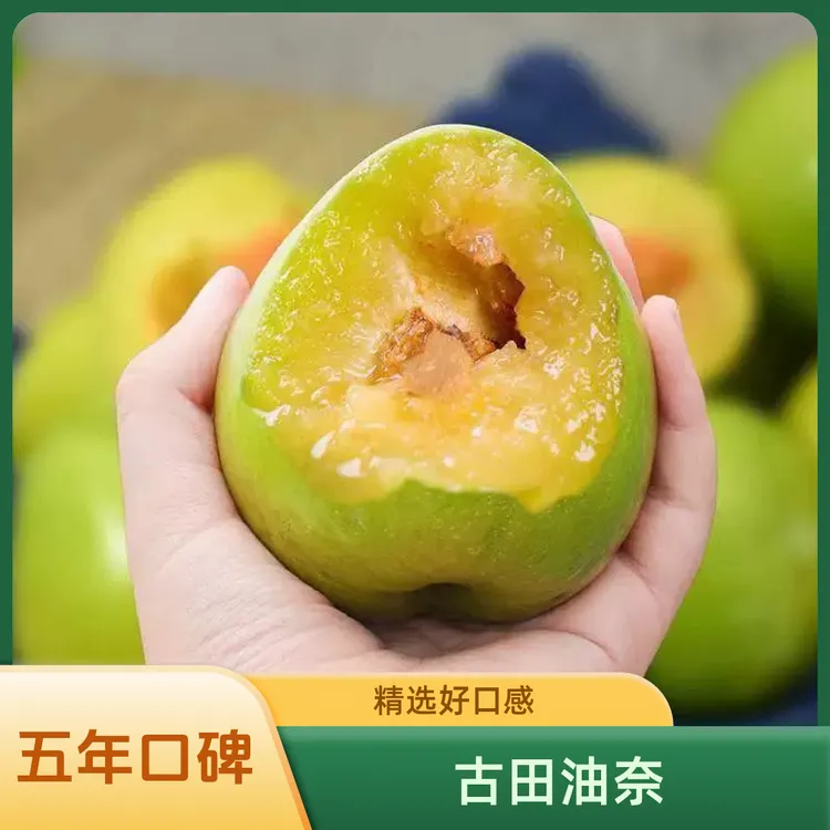 【五年口碑】福建古田油奈桃形奈李青柰李脱骨李子应季新鲜顺丰包邮
