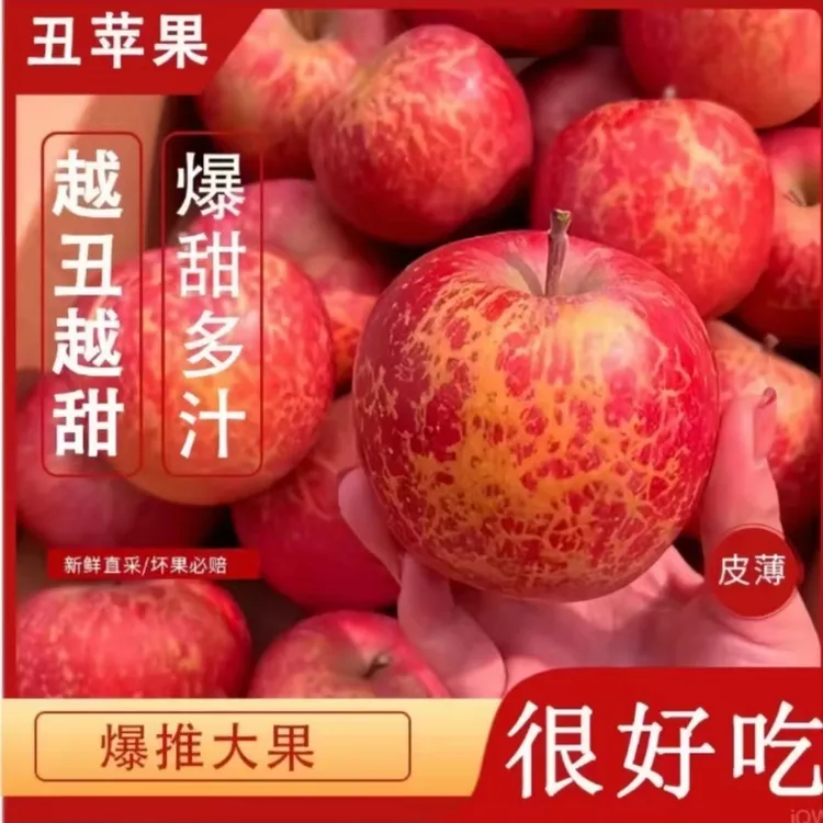 云南昭通丑苹果 早熟富士2001 鲜脆多汁 现摘现发