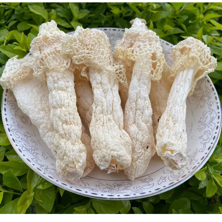 赵露思同款红托竹荪干货无异味煲汤特产鲜香浓郁竹花竹笙