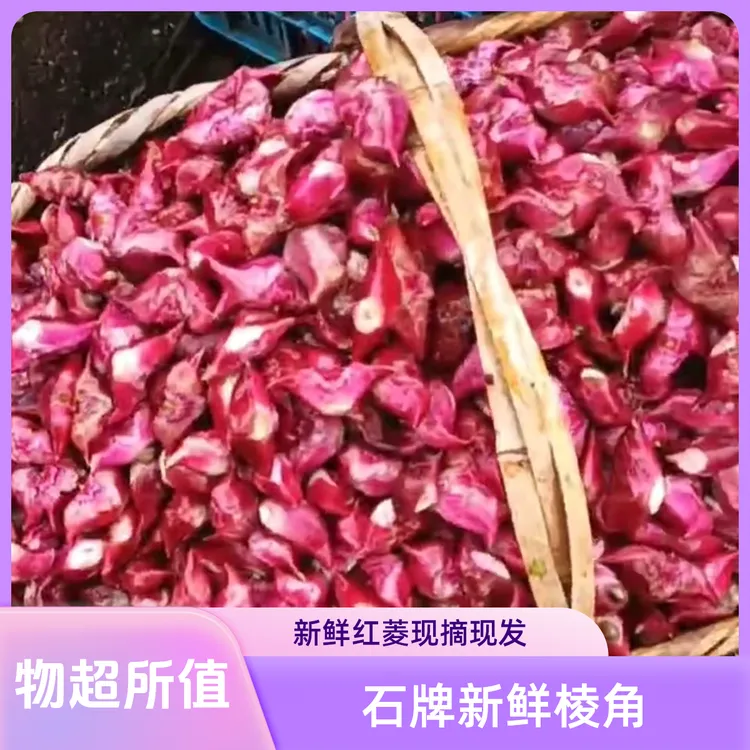 安徽安庆石牌新鲜红皮嫩菱角可生吃的莲角顺丰快递