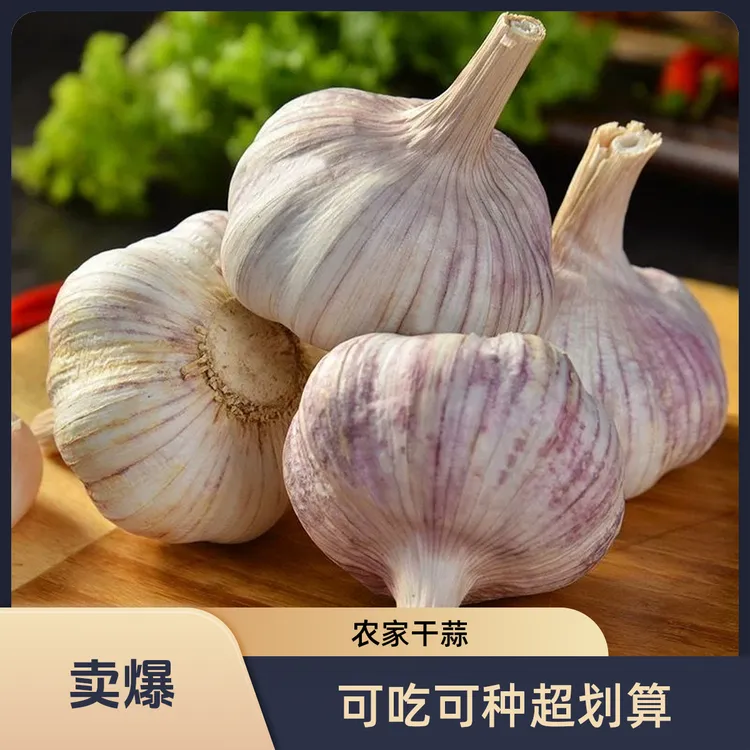 【干大蒜】大蒜2025新干蒜大蒜头干蒜5斤3斤