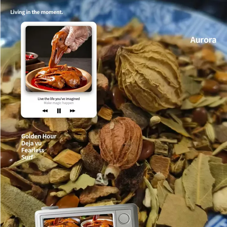 极湘客鸭货卤料卤煮系列适合各种卤鸭货类炖煮的大料调料