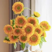 【云舍花卉】绿心向日葵5支家庭养花云南基地直发鲜切花