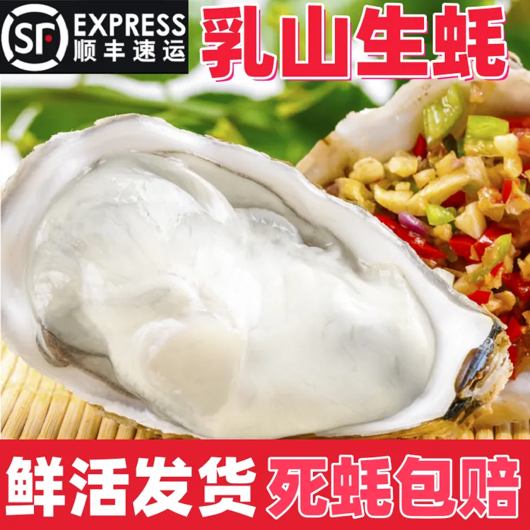 2024正宗乳山生蚝鲜活牡蛎海蛎子威海海鲜原产地快递包邮5斤