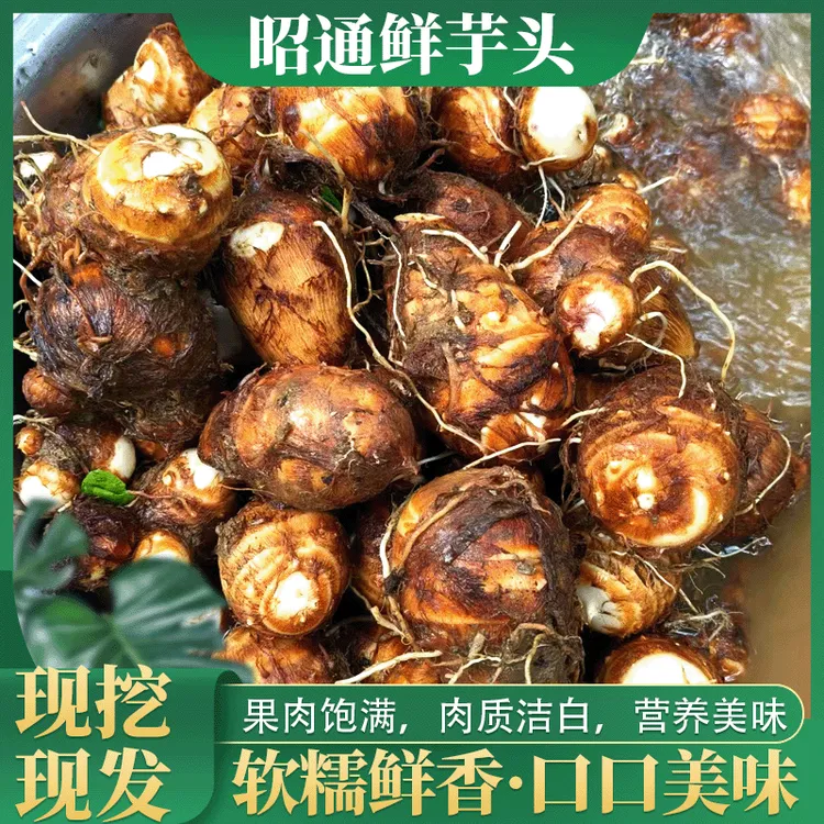 云南昭通新鲜牛奶小芋头农家自种粉糯香芋 生吃有毒 戴手套清洗