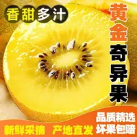 【小明正能量专属】四川正宗黄心G3猕猴桃 奇异果 24枚 香甜多汁