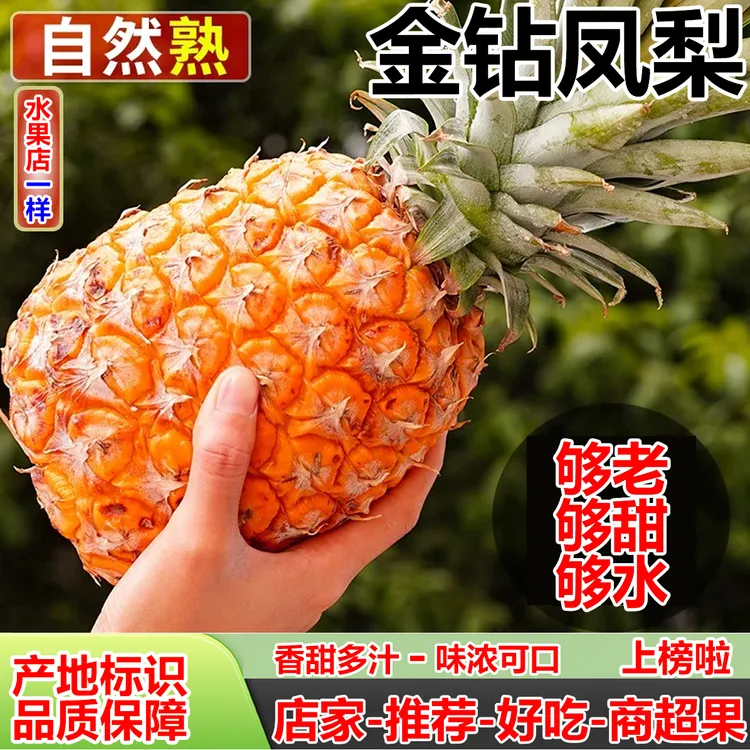 正宗海南金钻凤梨树熟现摘香甜多汁孕妇水果农家自种手撕芒果菠萝