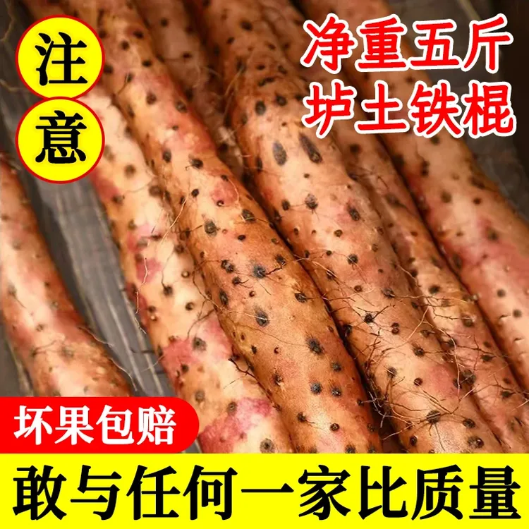 正宗垆土铁棍山药粘液蛋白营养丰富滋补养胃新鲜现发蔬菜农产品