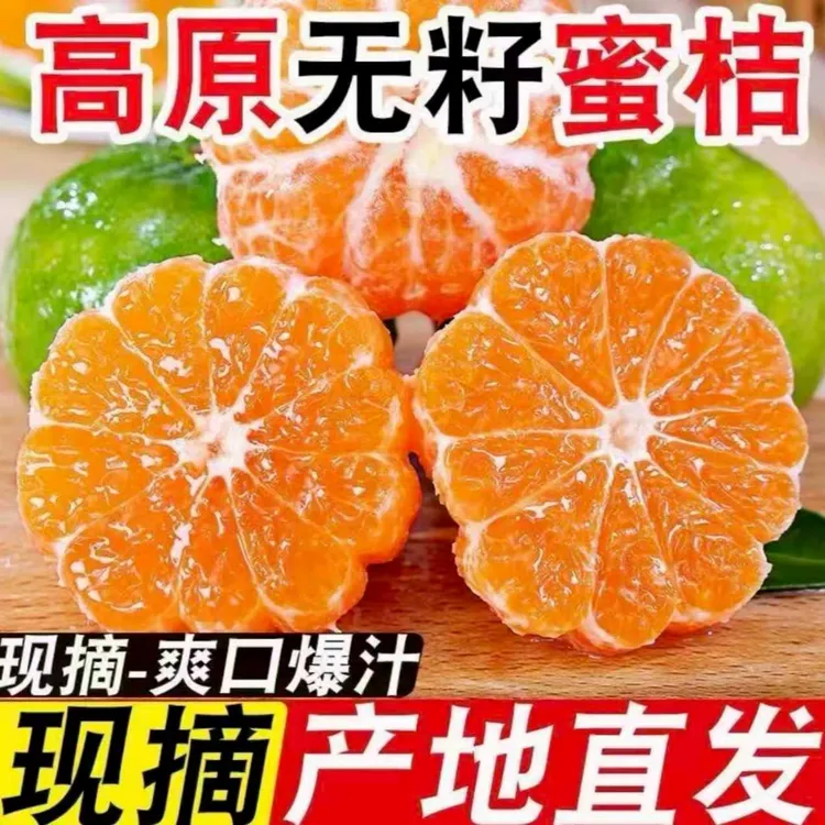 现摘青皮无籽蜜橘5斤家庭装当季新鲜水果皮薄酸甜高山蜜橘