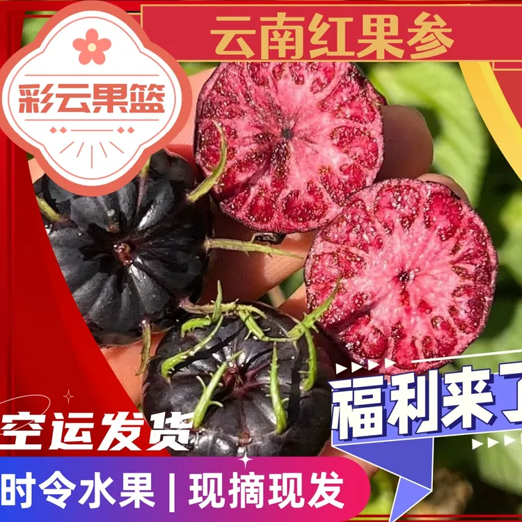 【产地空运】云南高山时令新鲜稀有水果 红果参 产地现摘现发 