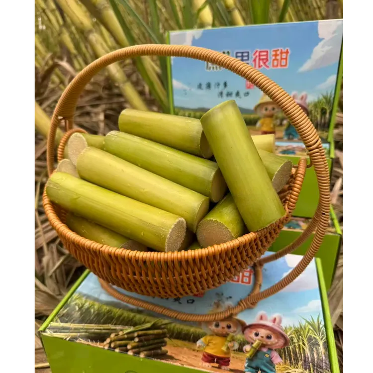 陶山青皮手撕甘蔗，《纯果肉 》买3斤送2斤（到手5斤）