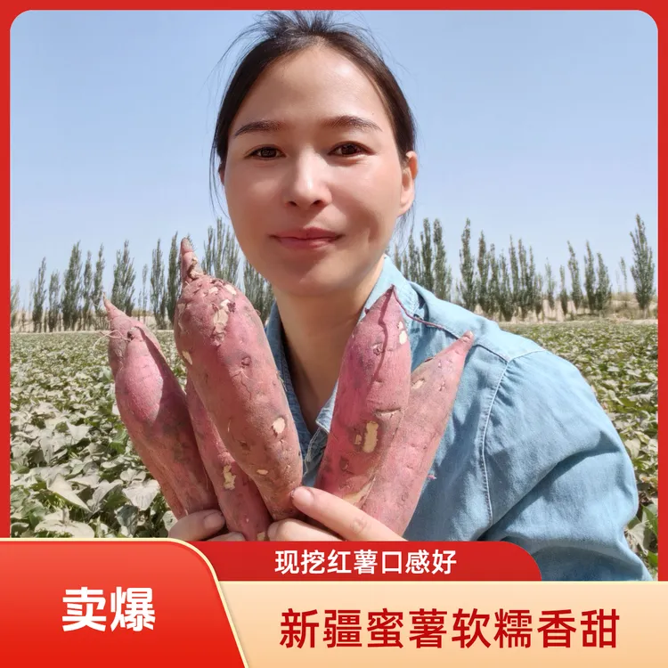 新疆沙漠蜜薯 新鲜现挖沙地板栗薯西瓜红薯软糯香甜 无筋无丝混发