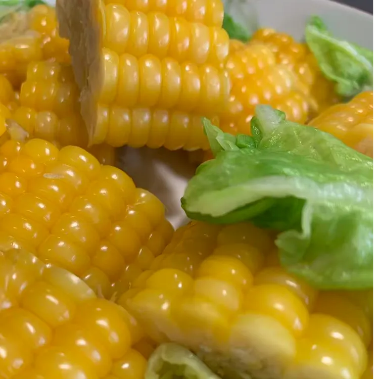 内蒙沙地玉米精选成熟大棒（饱满有嚼劲.适合水煮.火锅.煲汤.配菜）