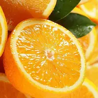 【姜婆甄选】新到都乐赣南脐橙 柔嫩多汁 果肉细嫩 水分足  净果10斤江西省