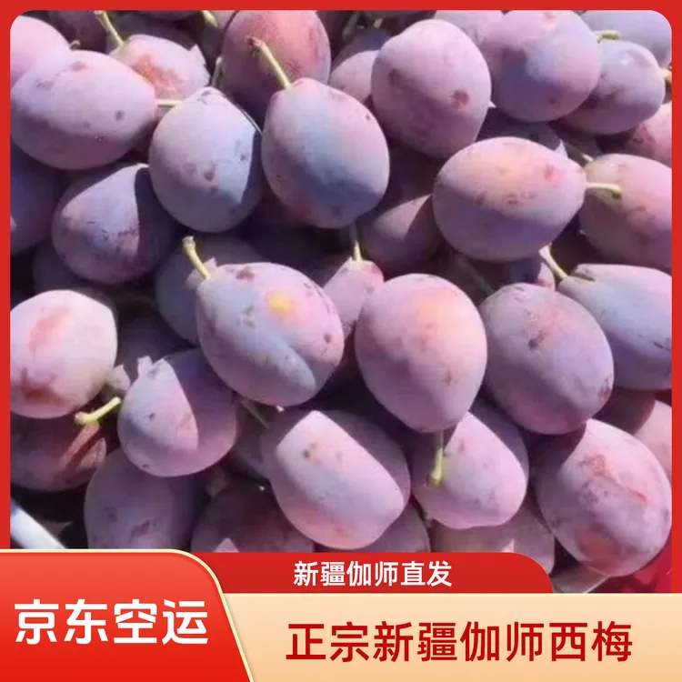 正宗新疆伽师西梅法兰西西梅软糯香甜爆汁高甜现采现发孕妇水果