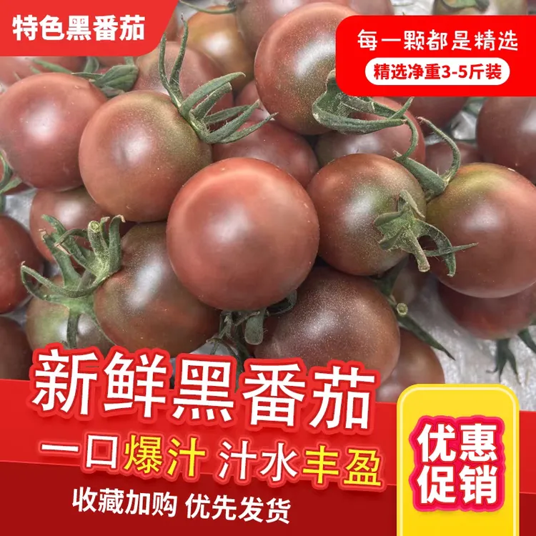 【高档】高台黑珍珠秀丽黑番茄孕妇儿童水果西北黑番茄