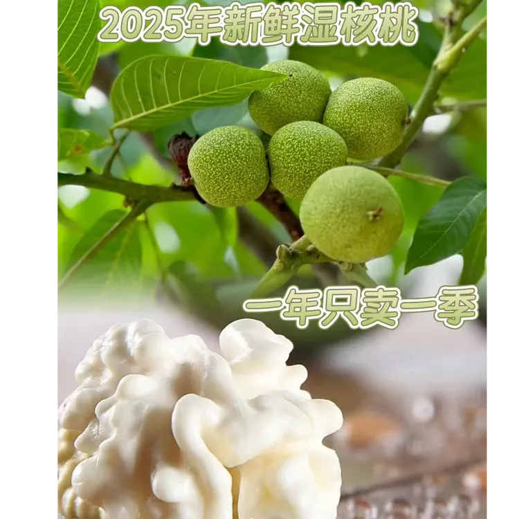 云南楚雄新鲜现摘去青皮湿核桃自然成熟