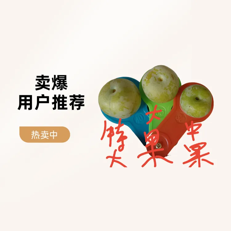 达州北山晚熟李子中果