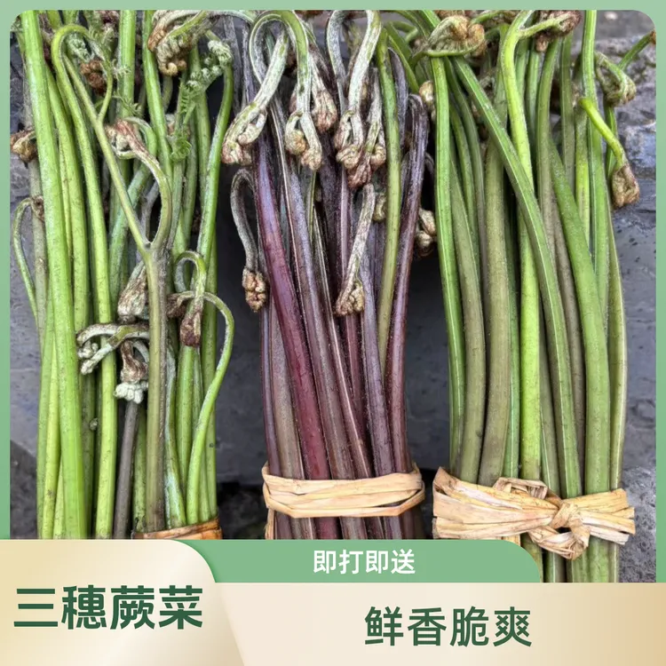 贵州三穗现打蕨菜