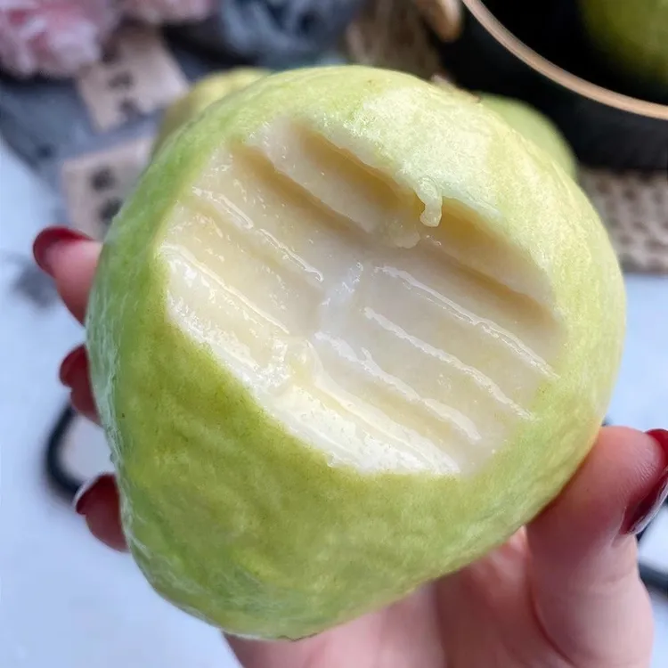 【软糯香甜】芭乐现摘当季新鲜水果软糯香甜白心番石榴