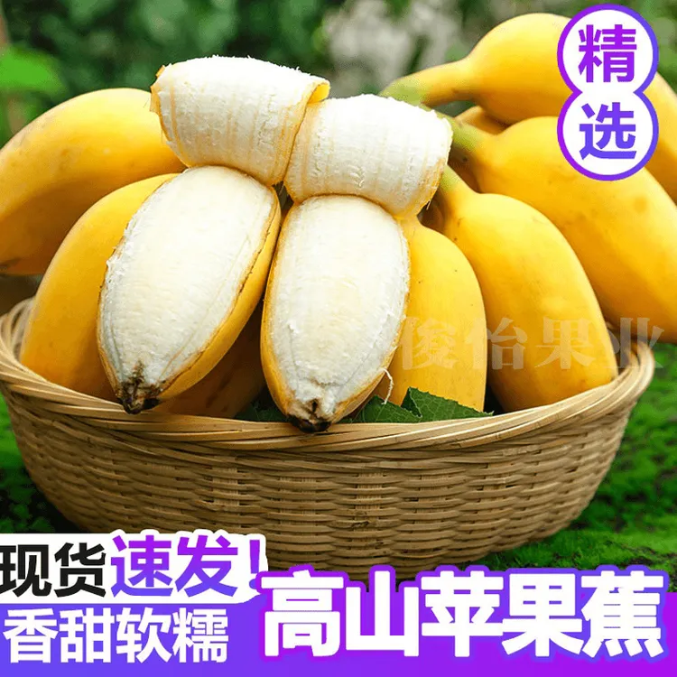 伦都爵广西苹果蕉9斤5斤甜粉蕉应季新鲜水果西贡蕉香蕉非福建芭蕉