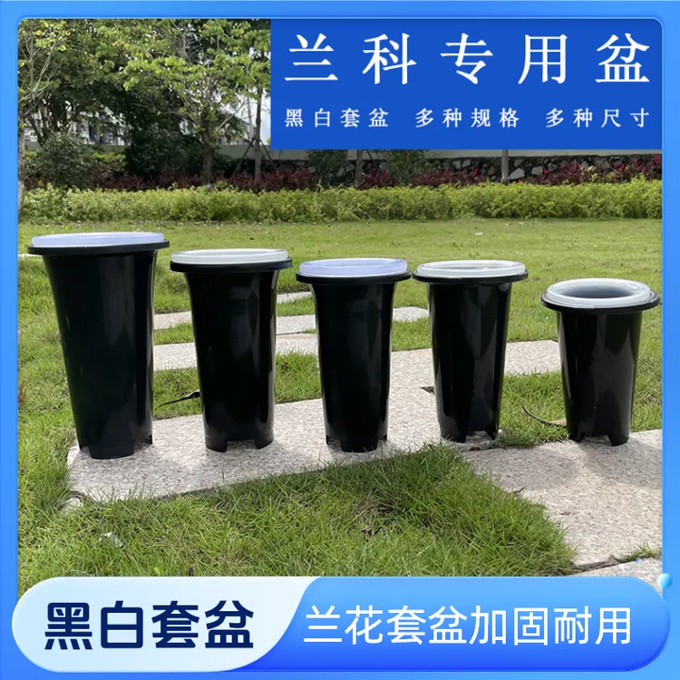 蘭松阁兰花套盆加固黑色直供塑料盆加厚加高简约兰花加厚款兰草