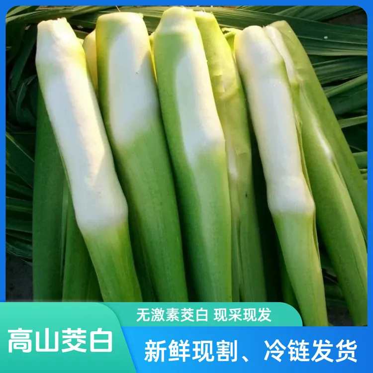 【丽水美人茭】新鲜特级高山冷水茭白现割现发不泡水无激素高笋茭瓜